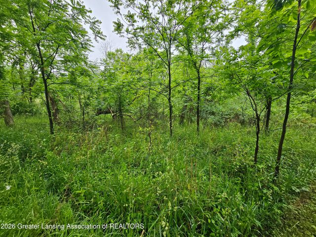 14540 S Wacousta Road, Grand Ledge, MI 48837