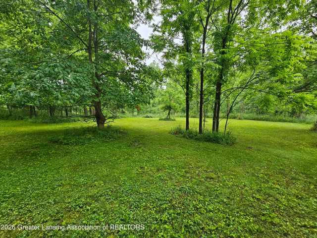 14540 S Wacousta Road, Grand Ledge, MI 48837