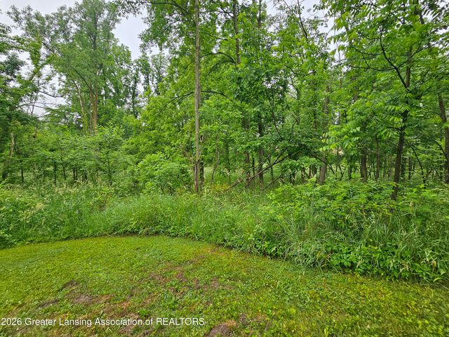 14540 S Wacousta Road, Grand Ledge, MI 48837