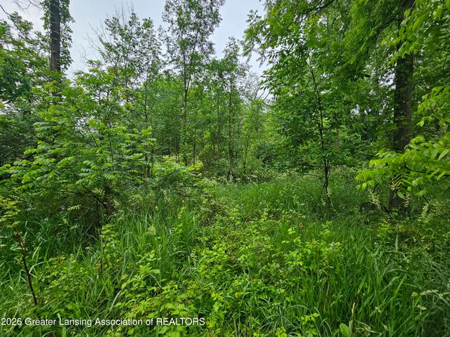 14540 S Wacousta Road, Grand Ledge, MI 48837