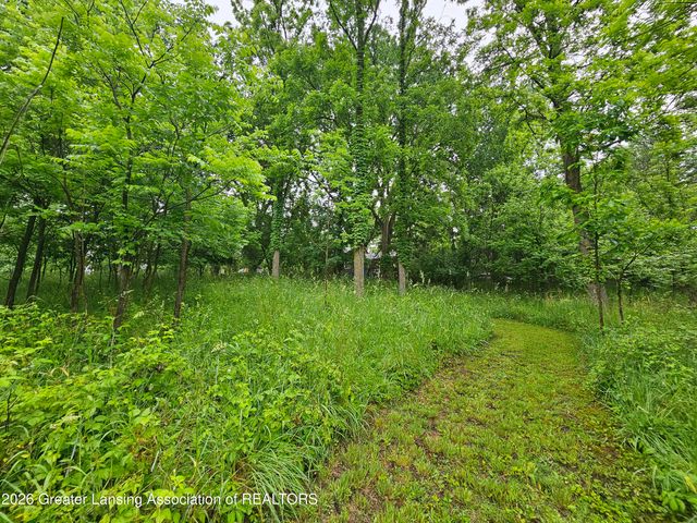 14540 S Wacousta Road, Grand Ledge, MI 48837