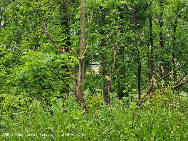 14540 S Wacousta Road, Grand Ledge, MI 48837