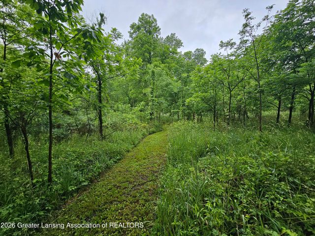 14540 S Wacousta Road, Grand Ledge, MI 48837