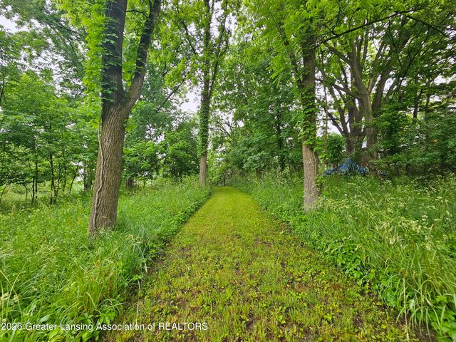 14540 S Wacousta Road, Grand Ledge, MI 48837