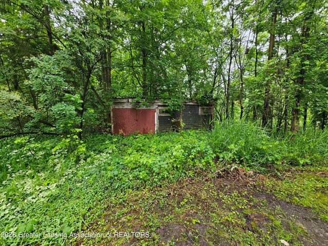 14540 S Wacousta Road, Grand Ledge, MI 48837