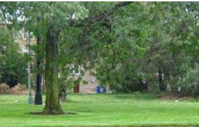 8314 S Stony Island Avenue, Chicago, IL 60617