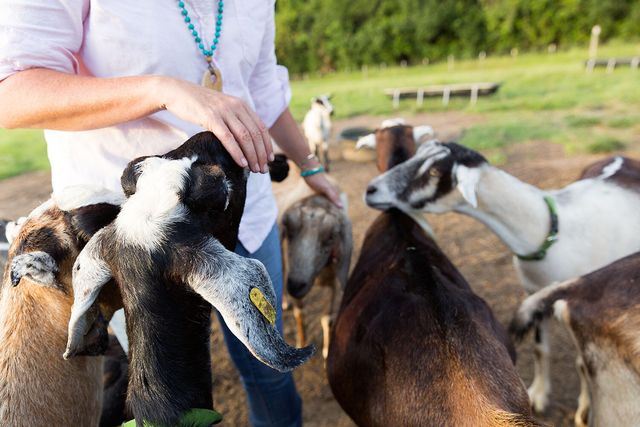 2115 Boatwright Road, Johns Island, SC 29455