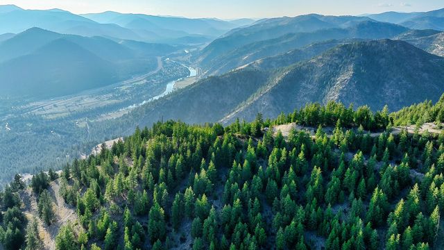 Nhn Johnson Creek Road, Superior, MT 59872