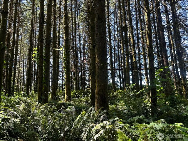 1895 North Fork Road, Chehalis, WA 98532