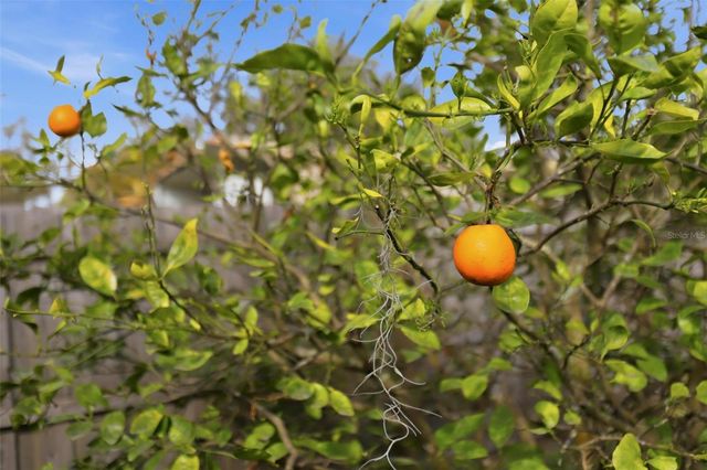 102 LAKE CHARLES ROAD, Deland, FL 32724