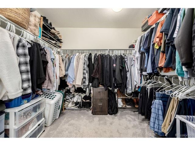 9781 Bennett Peak St, Littleton, CO 80125