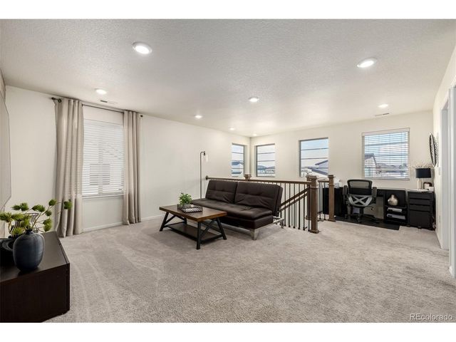 9781 Bennett Peak St, Littleton, CO 80125