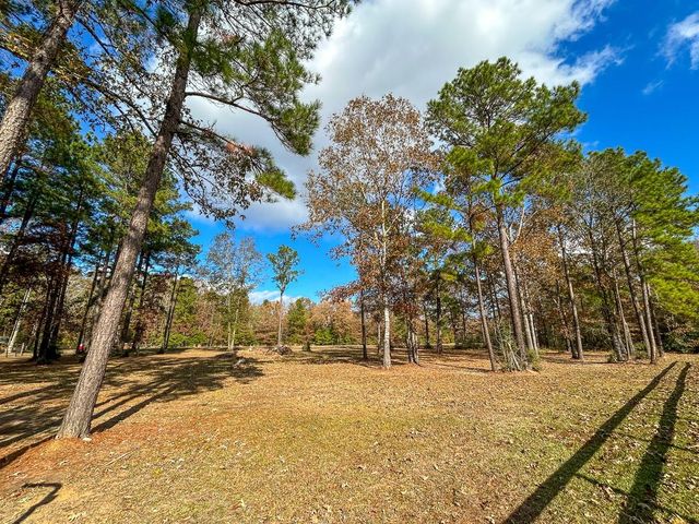675 Somerset Trail, Point Blank, TX 77364