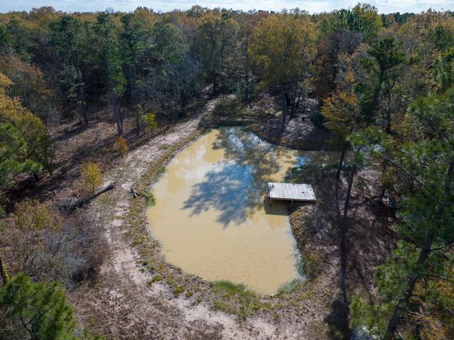 675 Somerset Trail, Point Blank, TX 77364