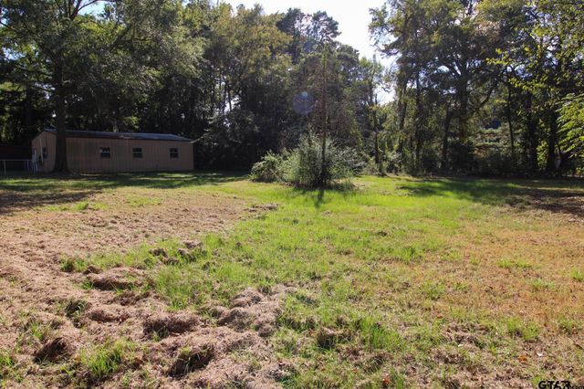 407 Pace St, Naples, TX 75568