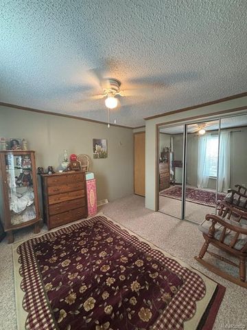 509 Park View, Clio, MI 48420