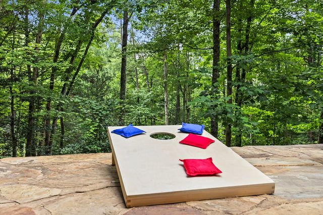 930 Power Dam Road, Blue Ridge, GA 30513