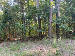 0 Lakewood Northeast Way 621, Conyers, GA 30012