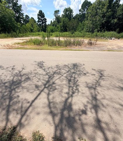420 E Semands Street, Conroe, TX 77301