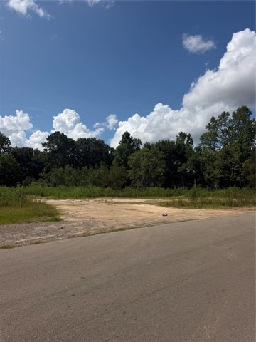 420 E Semands Street, Conroe, TX 77301
