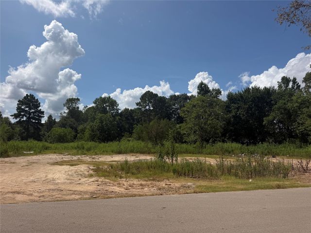 420 E Semands Street, Conroe, TX 77301