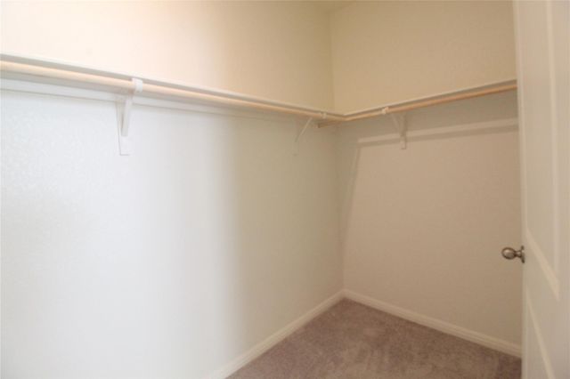 17825 Altesino CV, Pflugerville, TX 78660