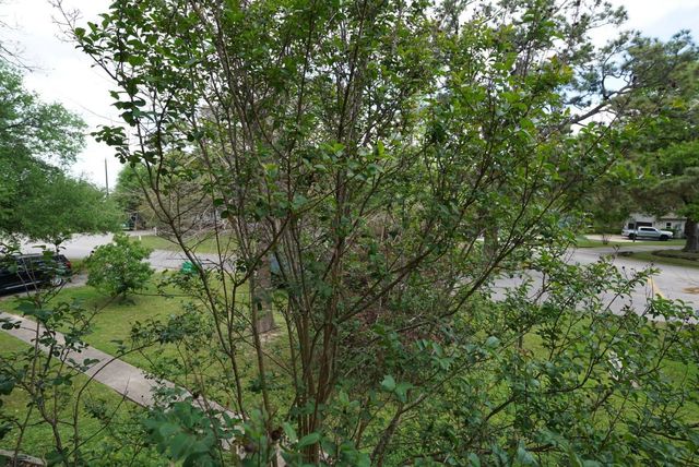 3309 Lawrence Street, Houston, TX 77018