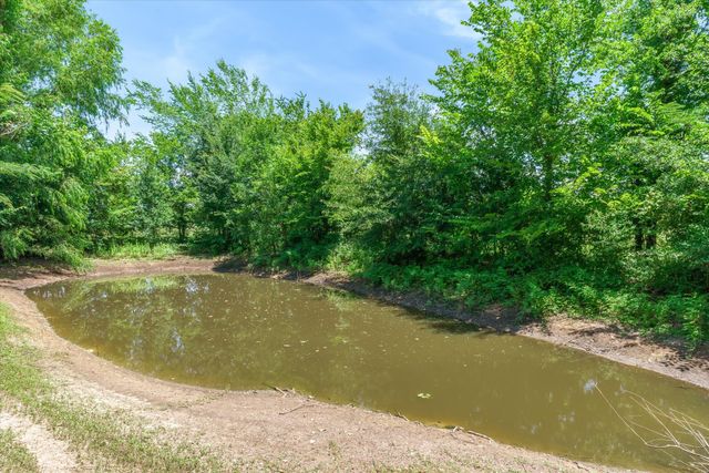1100 Vz County Road 3414, Wills Point, TX 75169