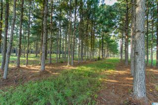 0 COUNTY ROAD 48, Jemison, AL 35085