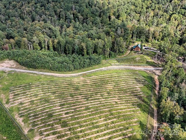 781 Payne Drive, Zirconia, NC 28790