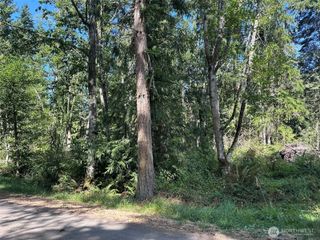 144 Took A Look Lane, Sequim, WA 98382