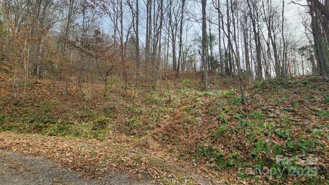 00 SATINWOOD Drive 19, Waynesville, NC 28785