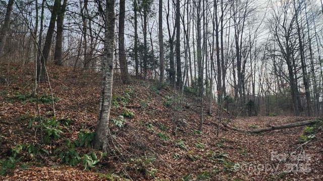 00 SATINWOOD Drive 19, Waynesville, NC 28785