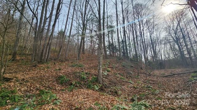 00 SATINWOOD Drive 19, Waynesville, NC 28785