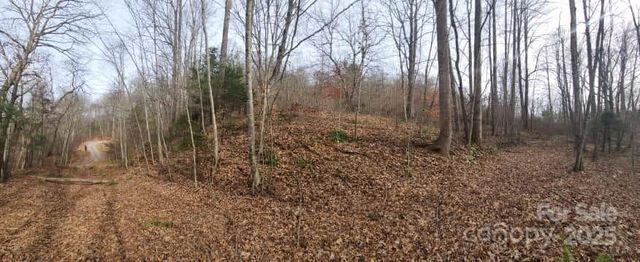 00 SATINWOOD Drive 19, Waynesville, NC 28785