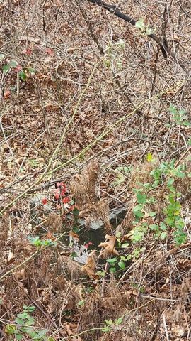 00 SATINWOOD Drive 19, Waynesville, NC 28785