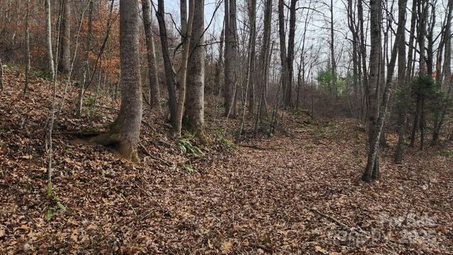 00 SATINWOOD Drive 19, Waynesville, NC 28785