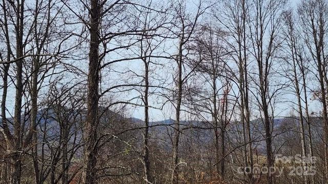 00 SATINWOOD Drive 19, Waynesville, NC 28785