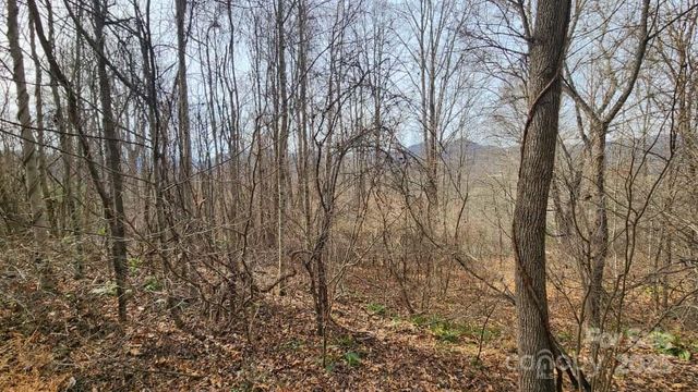 00 SATINWOOD Drive 19, Waynesville, NC 28785