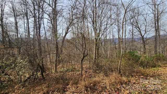 00 SATINWOOD Drive 19, Waynesville, NC 28785