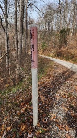 00 SATINWOOD Drive 19, Waynesville, NC 28785