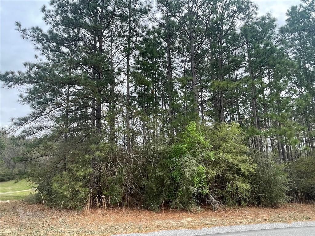 0 Dogwood Drive, Citronelle, AL 36522 — exterior