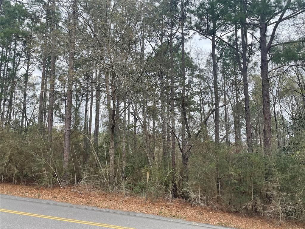 0 Dogwood Drive, Citronelle, AL 36522 — photo 2