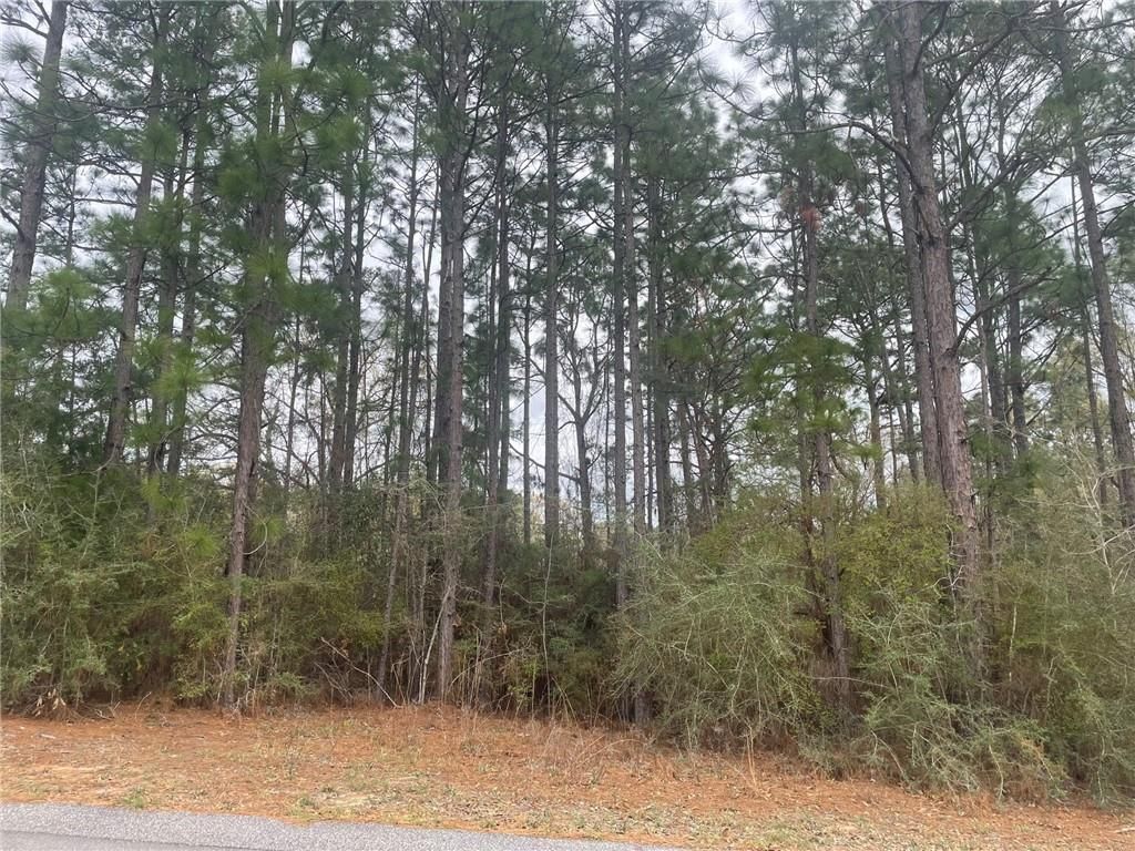 0 Dogwood Drive, Citronelle, AL 36522 — photo 3