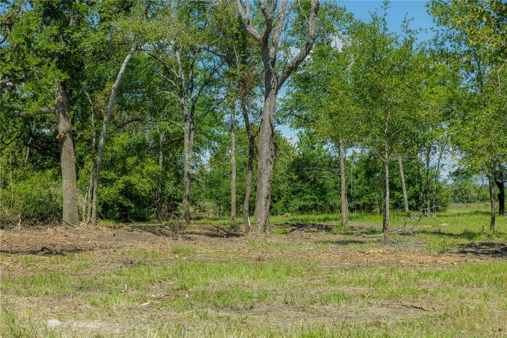 6593 Atakapan Trail, Bedias, TX 77831 — photo 2