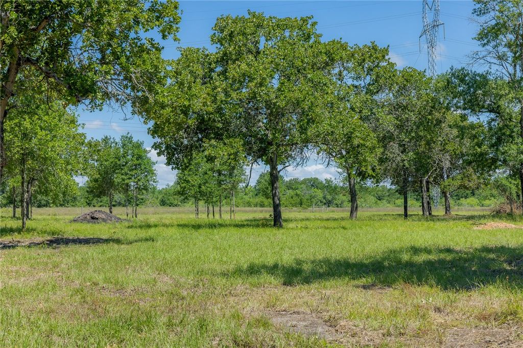 6593 Atakapan Trail, Bedias, TX 77831 — photo 3