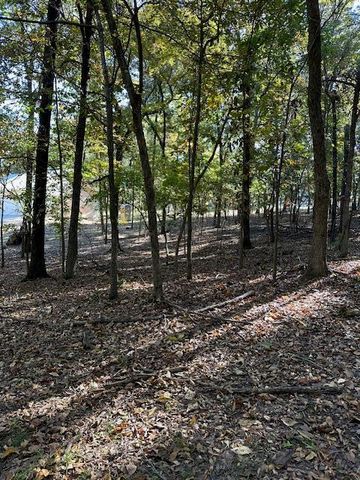 Lot 48 B2 Gran Tara Co Cl Pt, Cleora, OK 74331