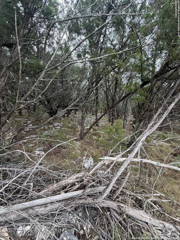 8115 Grand Stone, San Antonio, TX 78266