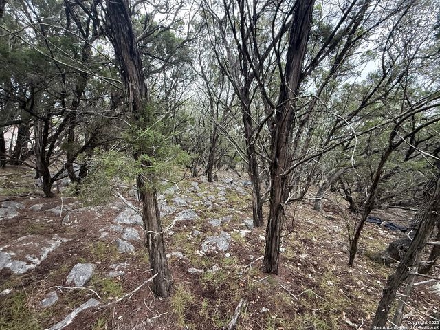 8115 Grand Stone, San Antonio, TX 78266