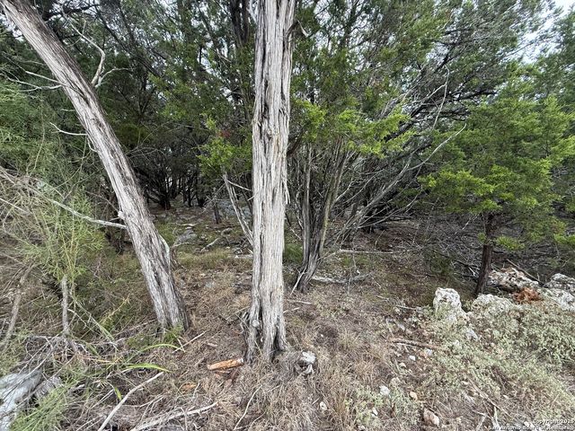 8115 Grand Stone, San Antonio, TX 78266